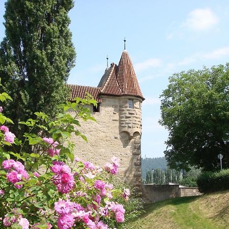 Weingut Gaestehaus Weigand Iphofen Kültér fotó