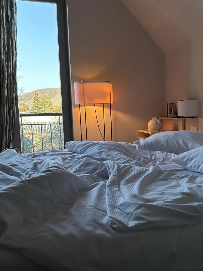 Weingut Gaestehaus Weigand Iphofen Kültér fotó