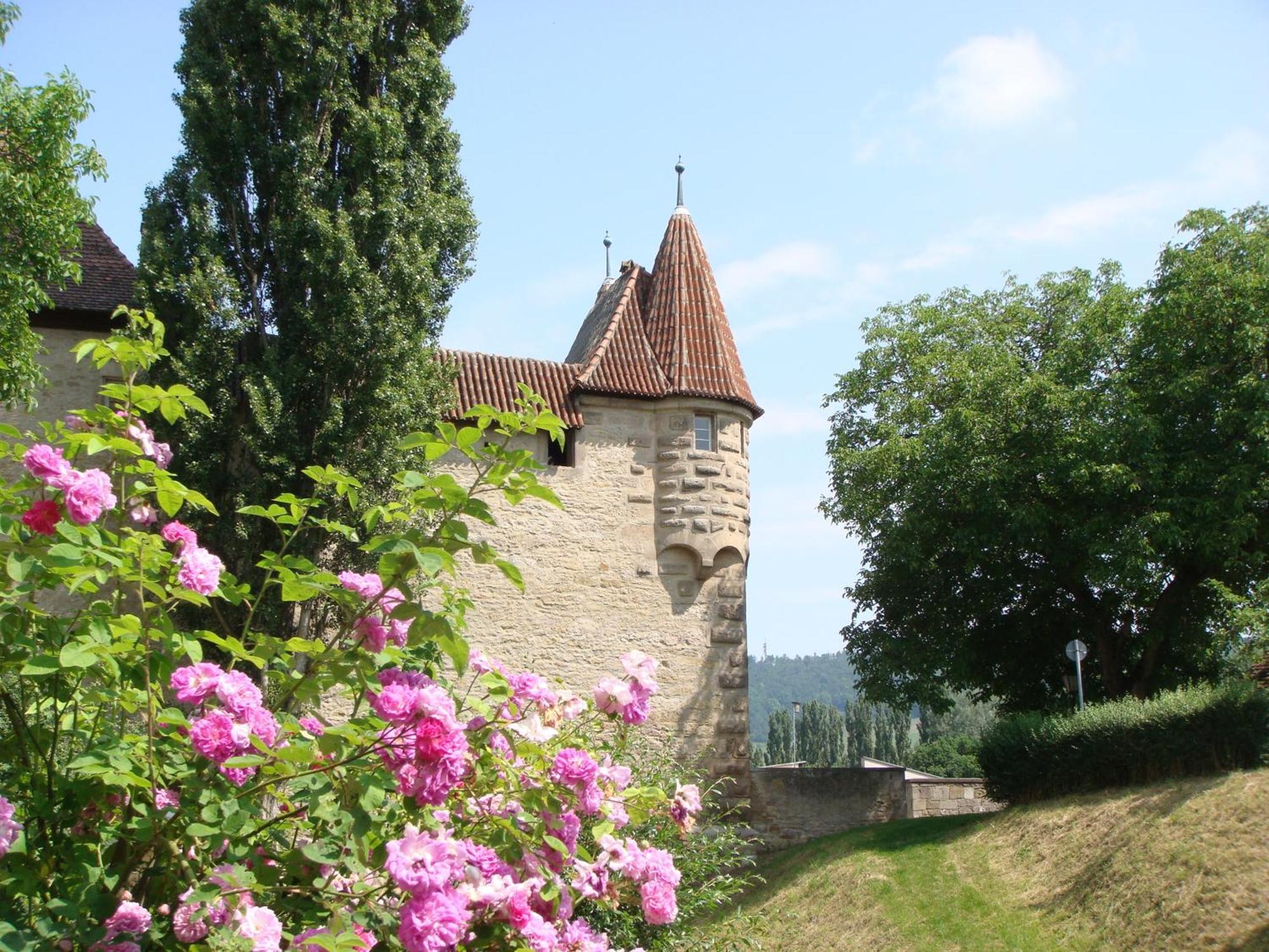 Weingut Gaestehaus Weigand Iphofen Kültér fotó