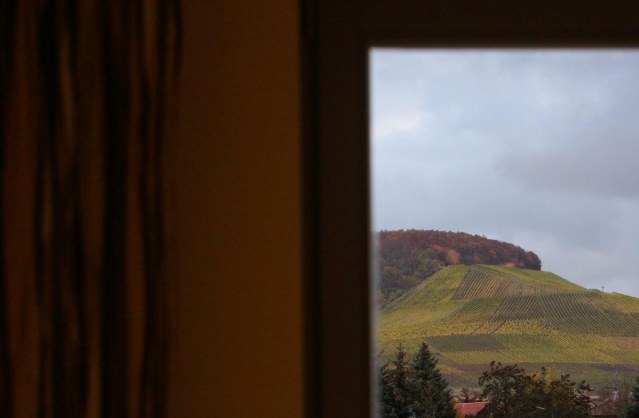 Weingut Gaestehaus Weigand Iphofen Kültér fotó